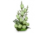 Green Royal - 12 Stems In Basket